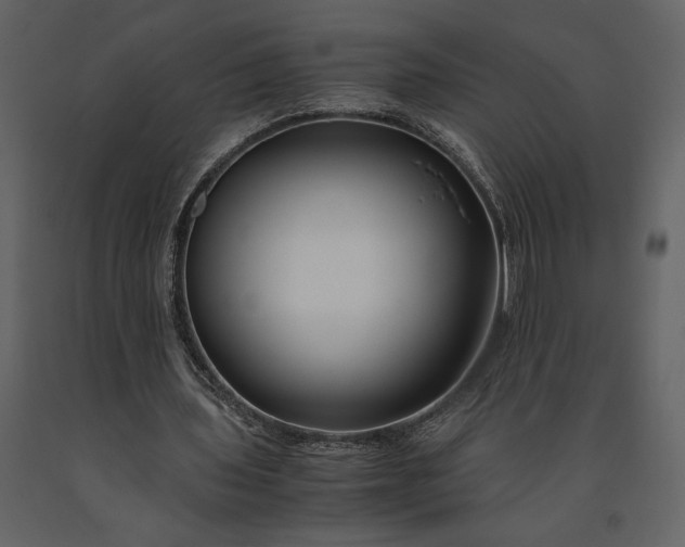 X0000091220435200708231634