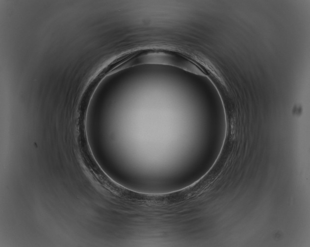 X0000091220436200708231634