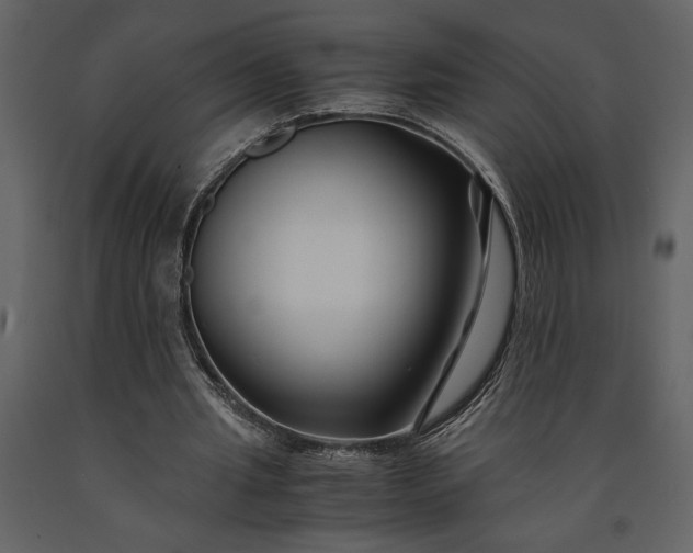 X0000091220437200708231634