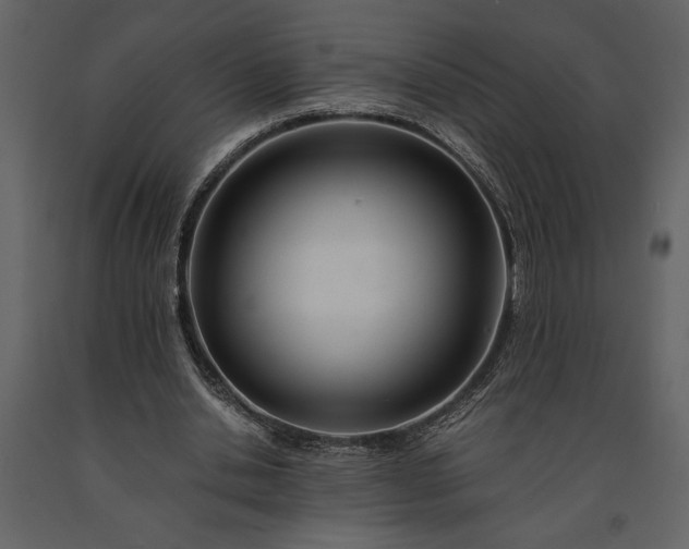 X0000091220438200708231635