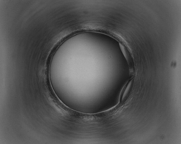 X0000091220439200708231635