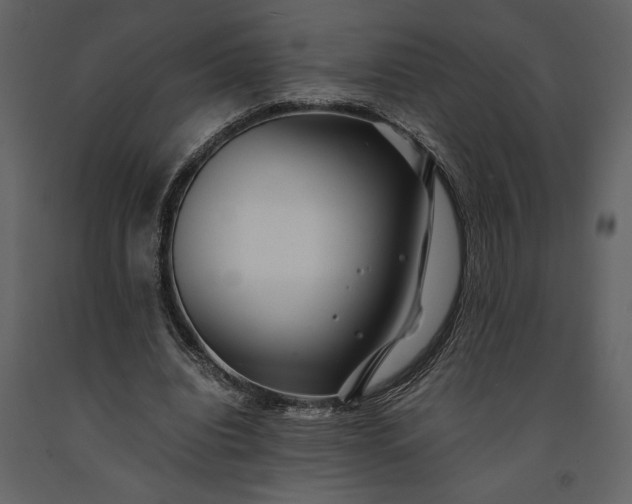 X0000091220440200708231635