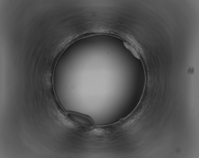 X0000091220441200708231635