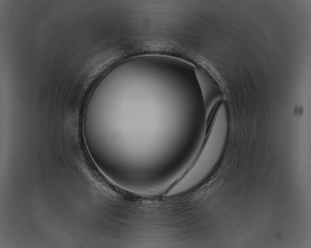 X0000091220442200708231635