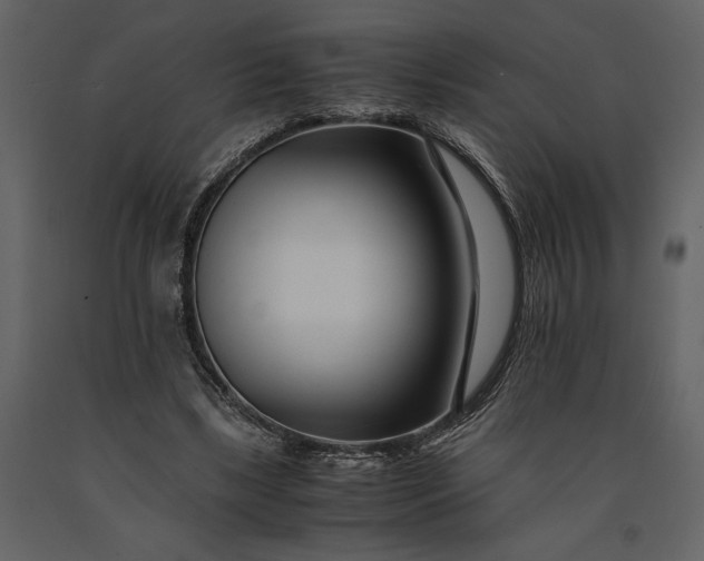 X0000091220443200708231635