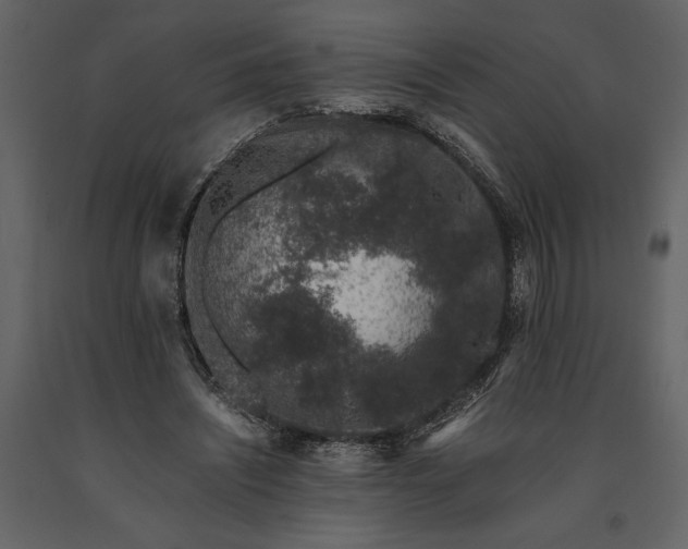 X0000091220444200708231635