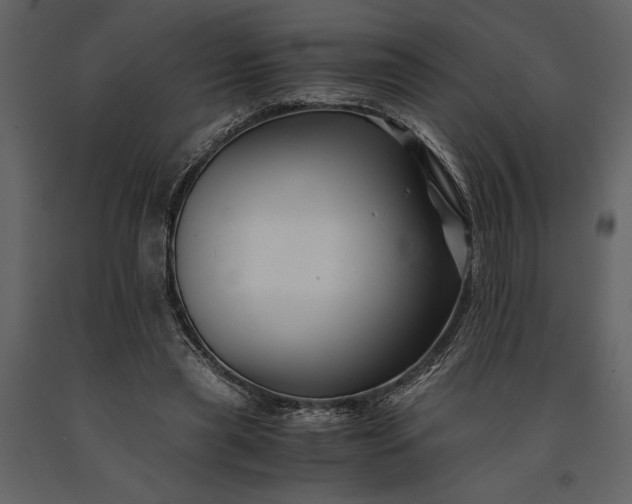 X0000091220445200708231635