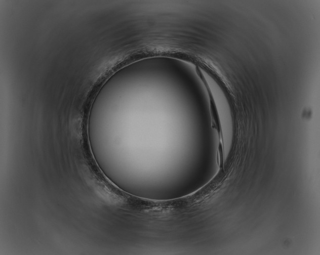 X0000091220447200708231635