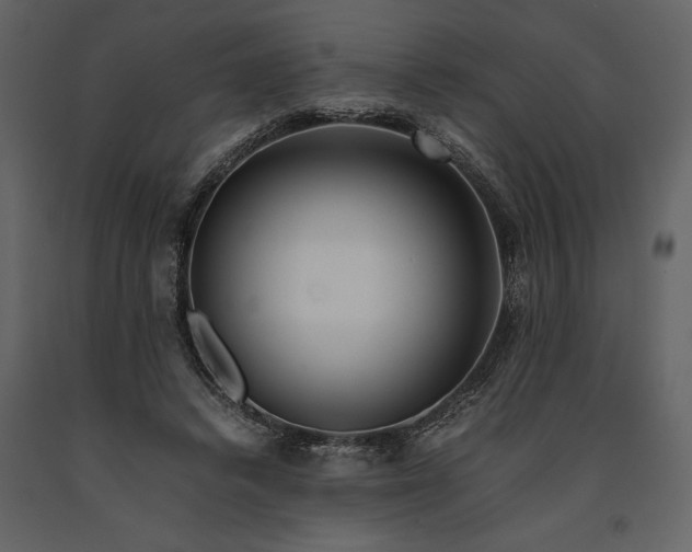 X0000091220448200708231635