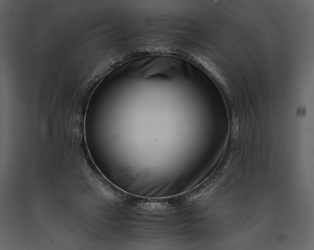 X0000091220449200708231635