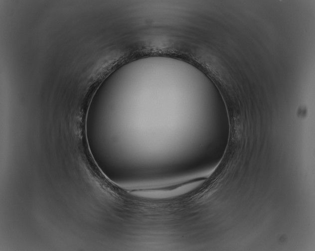 X0000091220450200708231635