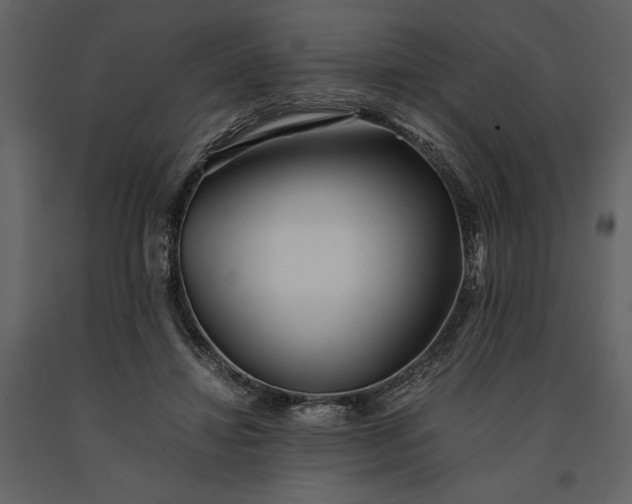 X0000091220452200708231635