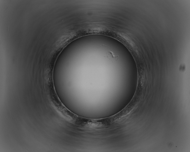 X0000091220455200708231635