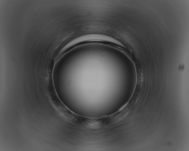 X0000091220456200708231635