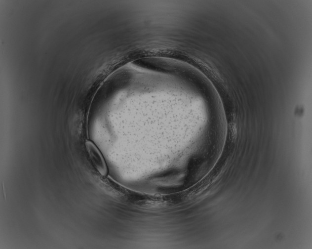 X0000091220458200708231635