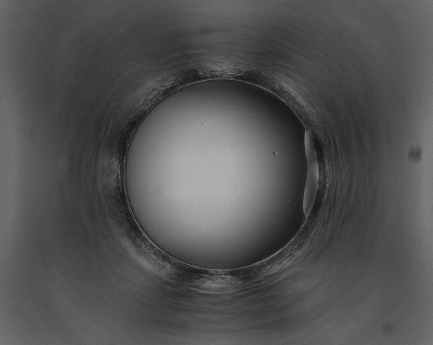 X0000091220459200708231635