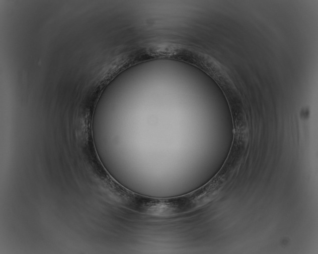 X0000091220460200708231635