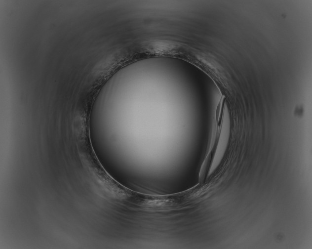 X0000091220461200708231635