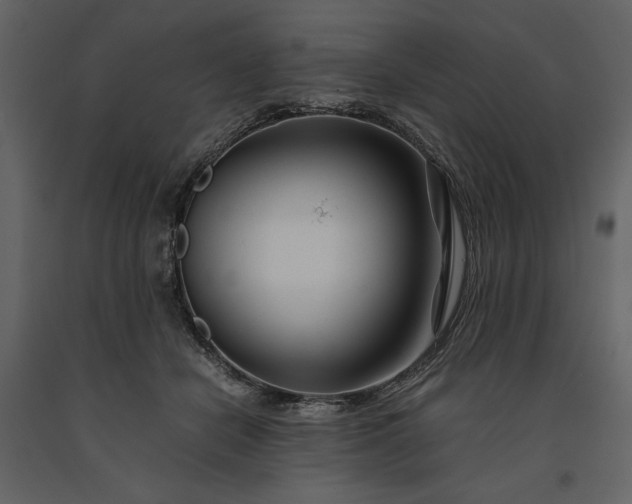 X0000091220462200708231635