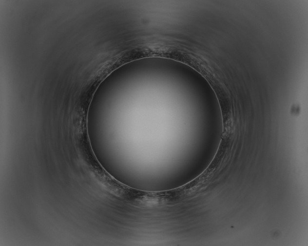 X0000091220464200708231635