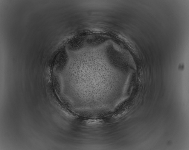 X0000091220465200708231635