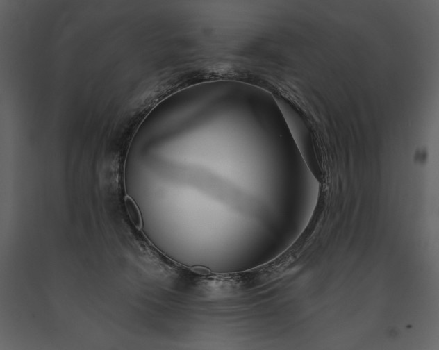 X0000091220466200708231635