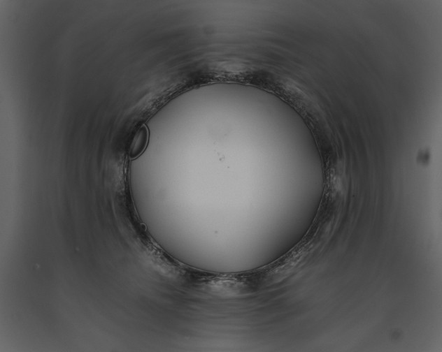 X0000091220468200708231635