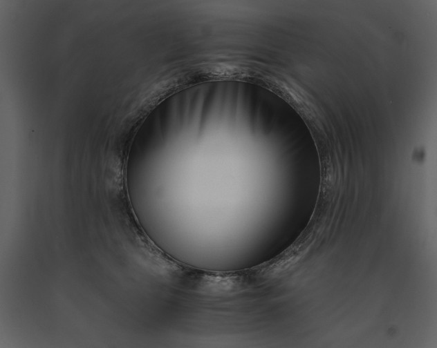 X0000091220469200708231635