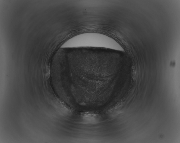 X0000091220471200708231635