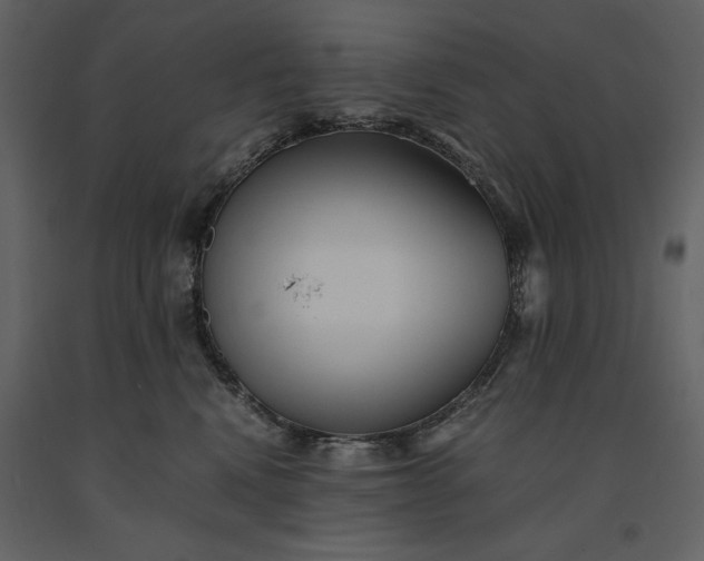 X0000091220472200708231635