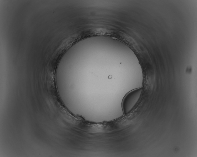 X0000091220473200708231635