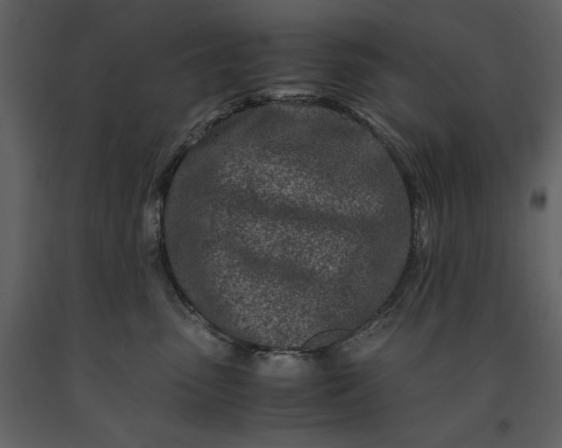 X0000091220475200708231635