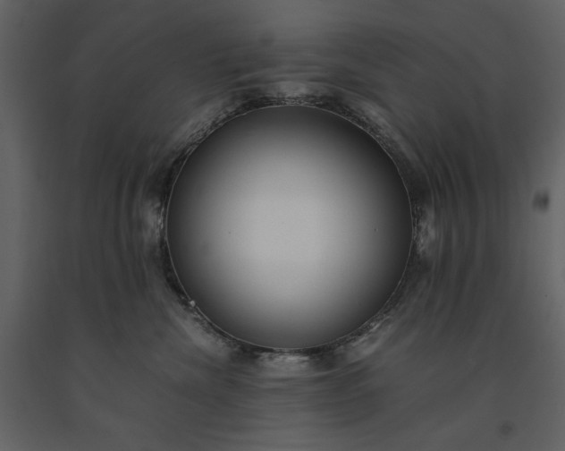 X0000091220476200708231635