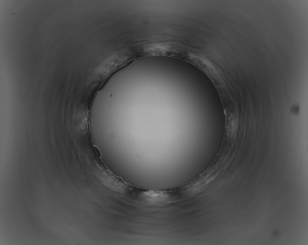 X0000091220477200708231635