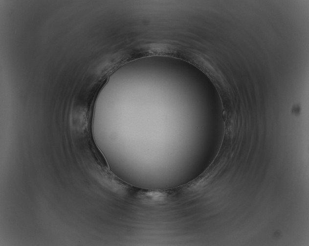 X0000091220478200708231635