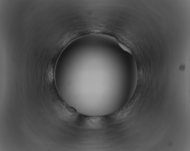 X0000091220479200708231635