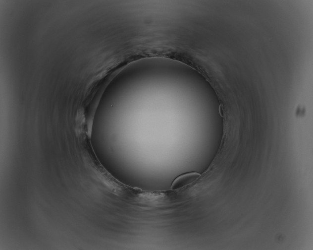 X0000091220480200708231635