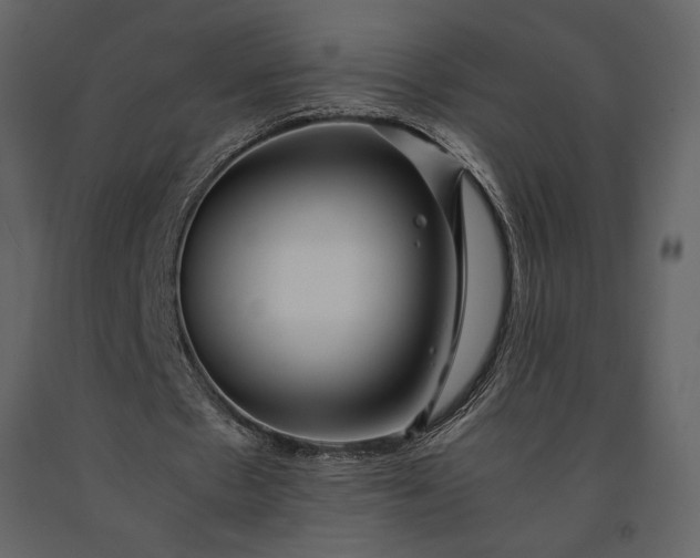 X0000091220481200708231634