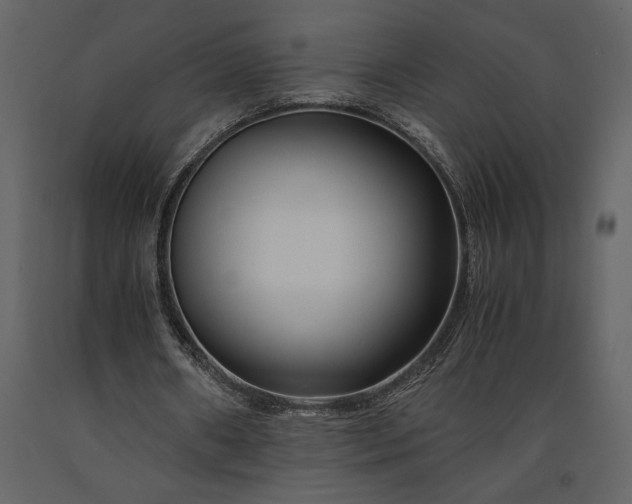 X0000091220482200708231634