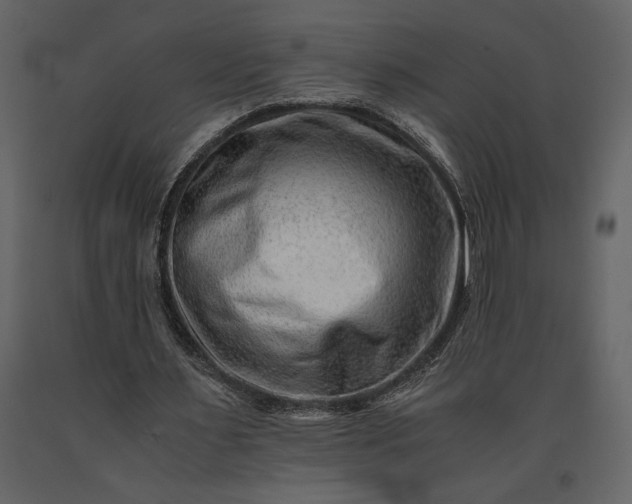 X0000091220483200708231634