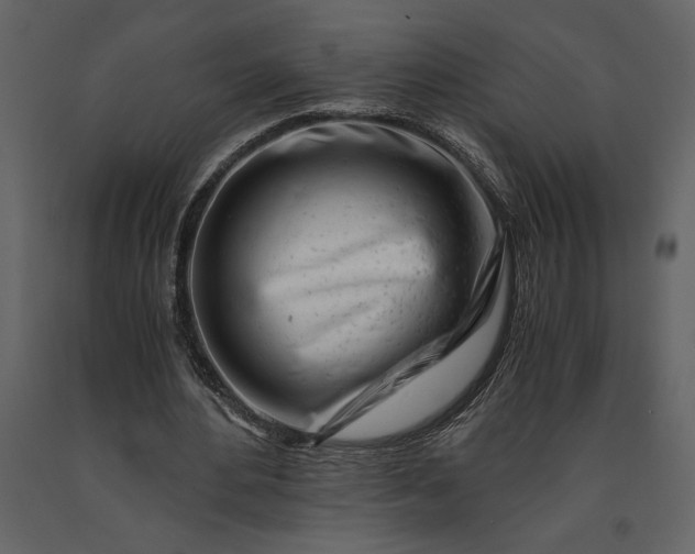 X0000091220484200708231634