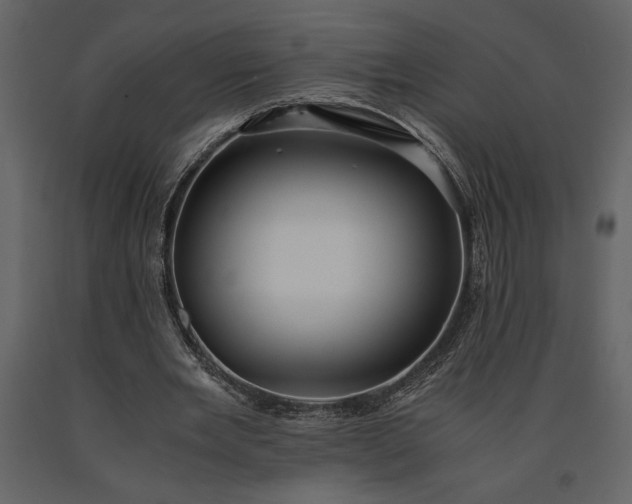 X0000091220485200708231634