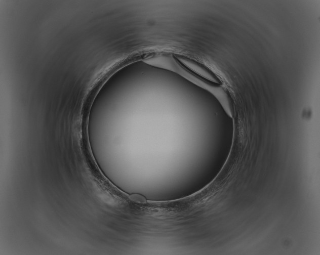 X0000091220486200708231634