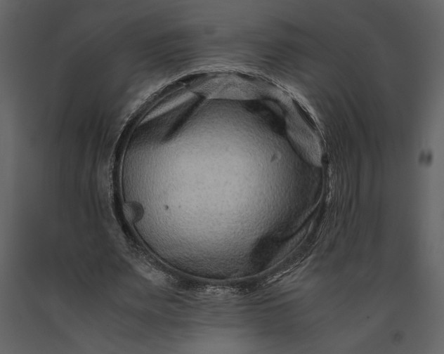 X0000091220487200708231634