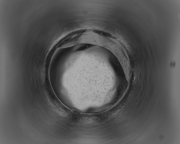 X0000091220488200708231634