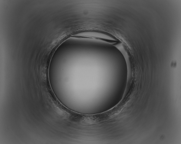 X0000091220489200708231634