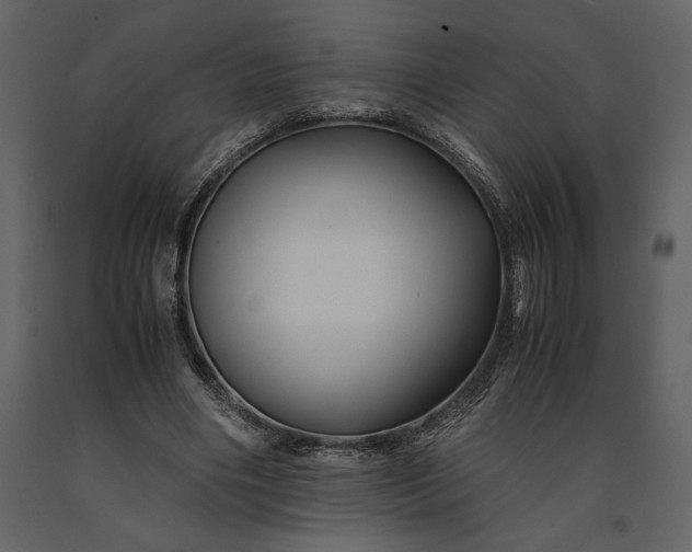 X0000091220490200708231634