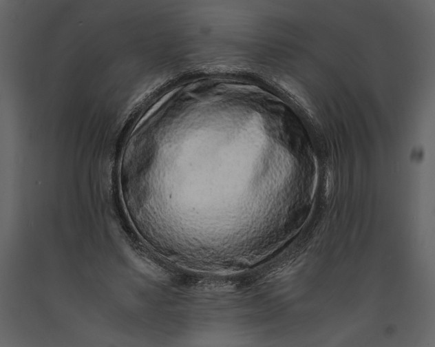 X0000091220491200708231634