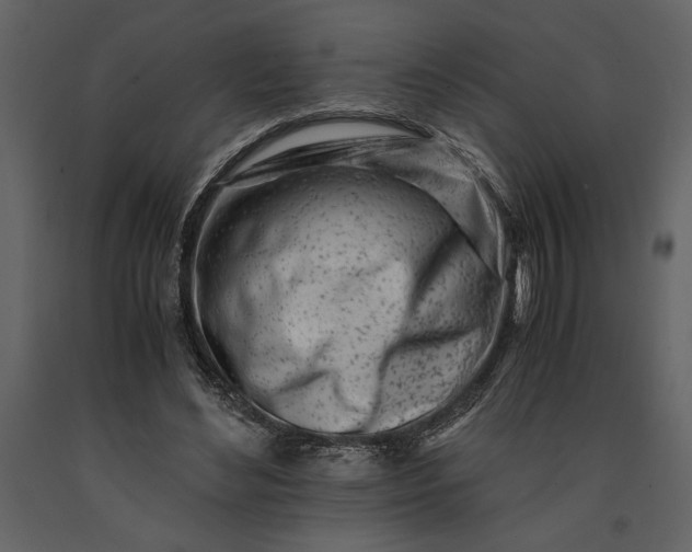 X0000091220492200708231634