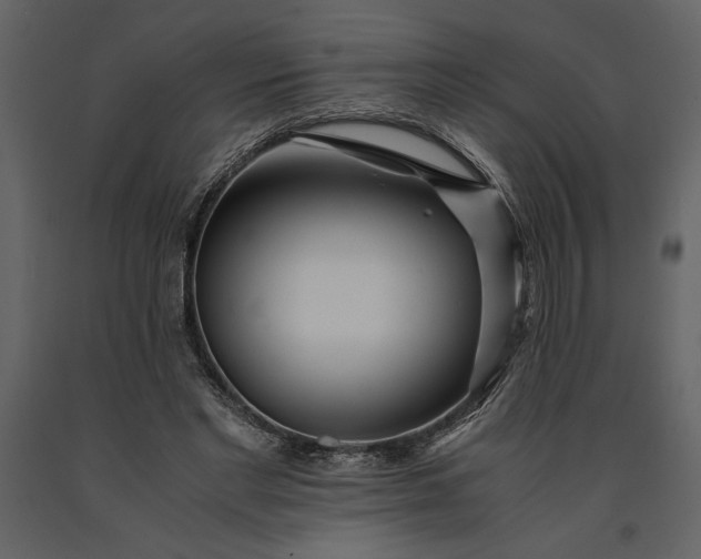 X0000091220493200708231634